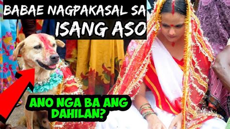 babae nagpakantot sa aso|Iyot kalimot ang inabot ng babae sa nobyo nyang kastang aso.